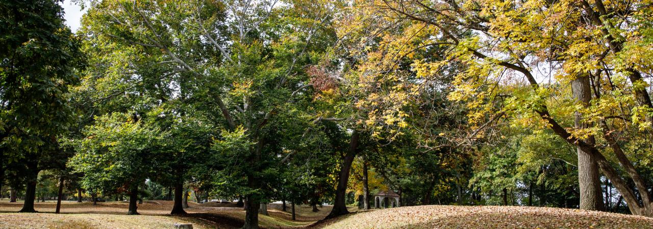 Landscape view at Red Bank Battlefield Park in New Jersey